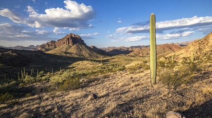 Majestic Desert Landscape Featuring Cactus and Mountain Under a Blue Sky