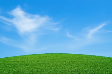 Lush Green Grass Field Under Bright Blue Sky with Soft White Clouds Above