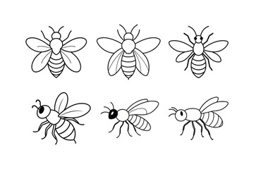 Mason Bee (Osmia) insect design, labeled line art vector illustration.