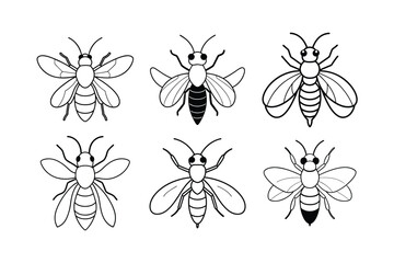 Mining Bee (Andrenidae) insect design, labeled line art vector illustration.