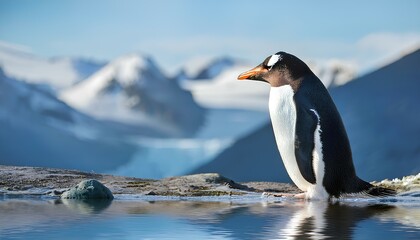 Naklejka premium penguin standing on the edge of a body of water with mountains in background, portrait full length side profile view