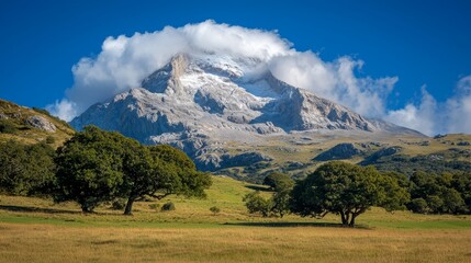 A grassy field with trees and a mountain in the background