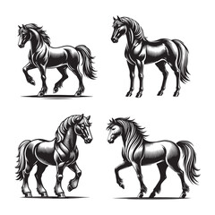 Graceful Silhouette of a Standing Mustang Horse Isolated on White Background in Monochrome