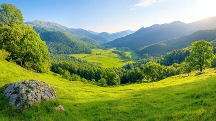 Naklejka premium A grassy field with trees and mountains in the background