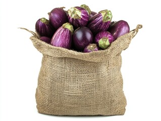 Purple Eggplant Bundle in a Jute Sack
