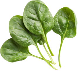 Spinach Vegetable PNG, Spinach HD Image