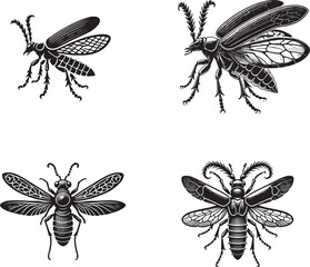 Detailed Silhouette of a Net-winged Beetle Isolated on White Background in Monochrome