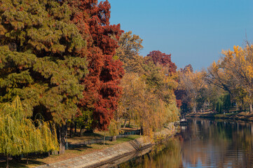 River canal with amazing colorful trees in the autumn season. Autumn urban landscape with beautiful yellow trees on the edge of the river canal that crosses the city. Bright light, city morning