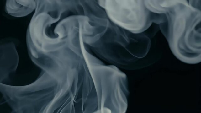 smoke dark abstract smoke fog isolate isolated smoky smoking smog nobody mist cigar cigarette abstract air black background silky ecology fire smooth steam stream semitransparent transparent aroma