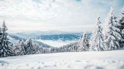 Snow Covered Mountain Landscape With Pine Trees