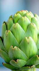 Fototapeta premium A close up of an artichoke on a blue background