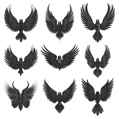 Obraz premium Nine Black Bird Logos with Spread Wings