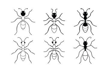 Fire Ant (Solenopsis) insect design, labeled line art vector illustration.