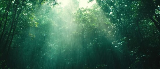 Enchanting forest landscape with sunlight filtering through the lush verdant foliage creating a serene and mystical atmosphere