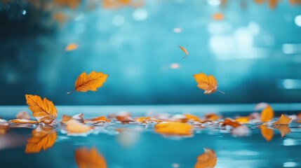 Falling autumn leaves reflected in calm water.