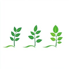 Fototapeta premium Three stages of plant growth illustrated as green sprouts on a clean white background.