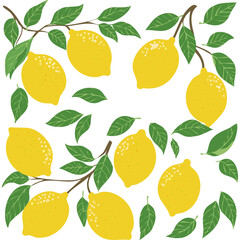Obraz premium Lemons on a branch vector illustration flat. Image of a branch with yellow citrus fruits and leaves. For packaging and design.
