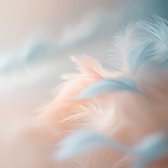 Obraz premium white feather on the sand