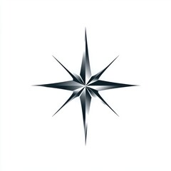 Stylized black compass rose on a white background, symbolizing navigation and direction.