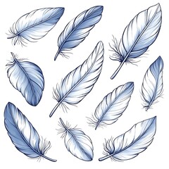 Delicate Blue-toned Feather Illustration Set