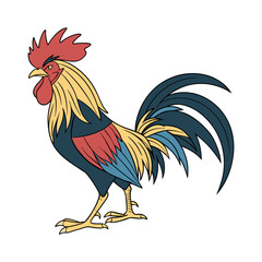 Colorful rooster illustration with vector style