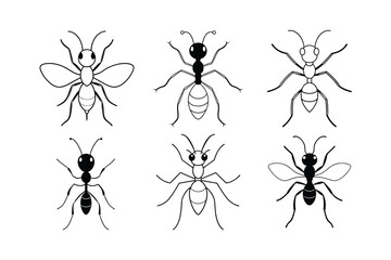 Leafcutter Ant (Attini) insect design, labeled line art vector illustration.