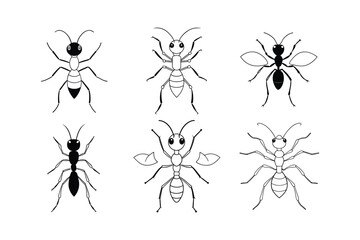 Leafcutter Ant (Attini) insect design, labeled line art vector illustration.