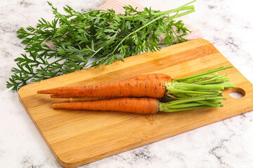 Toung fresh ripe orange carrot