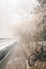 Magical foggy morning with frozen trees in the park Novi Sad Serbia