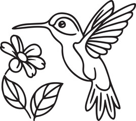 Hummingbird Line Art Coloring Page Vector Illustration Graphic