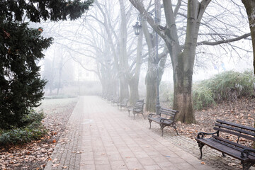 Magical foggy morning with frozen trees in the park Novi Sad Serbia