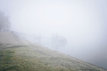 Foggy morning on the coast of Danube Novi Sad Serbia
