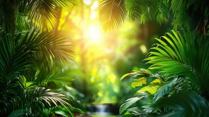 Lush tropical rainforest scene with sunlight streaming through leaves and a small creek.