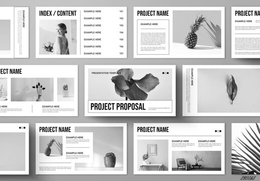 Project Proposal Presentation Layout