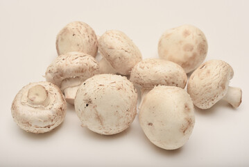 Fresh champignons on a white plate. Mushrooms on a white background.