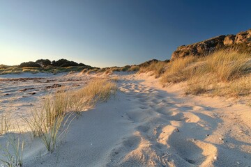 Obraz premium The sandy beach of Whangamata, New Zealand, with grasses and rock formations in the background under a clear blue sky at sunset. The golden light reflects on the sand dunes. A wide-angle shot capturin