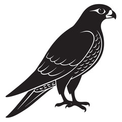 Obraz premium Falcon silhouette vector illustration