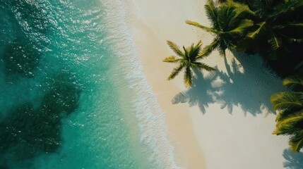 Aerial view of tropical beach with turquoise water, white sand, and palm trees casting shadows.