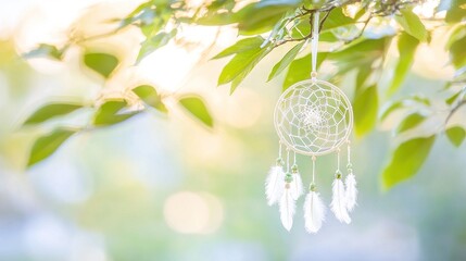 Obraz premium Dreamcatcher hanging from a tree branch in sunlight.
