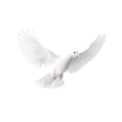 Fototapeta premium a white bird of peace flying in the sky with wings wide open PNG image, PNG file, Generative art.
