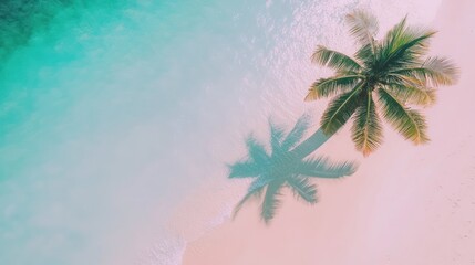 Aerial view of a palm tree on a tropical beach with turquoise water.