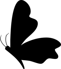 Butterfly silhouette 