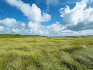 Obraz premium A wide grassy field with a blue sky and white clouds in the background, green grass on the ground, and an empty space for text or graphic design at one end of the frame. The entire scene is captured