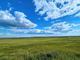 Obraz premium A wide grassy field with a blue sky and white clouds in the background, green grass on the ground, and an empty space for text or graphic design at one end of the frame. The entire scene is captured