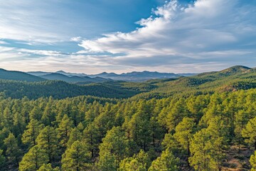 Aerial view of a beautiful sunrise over a forest landscape in spring, with the sunrise in the mountains featuring green pine trees and a blue sky. A beautiful nature background. Nature Panorama. The 