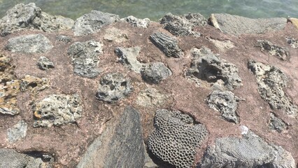 Galle fort stone hedge