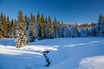 Landscape Jakuszyce, Lower Silesian Voivodeship