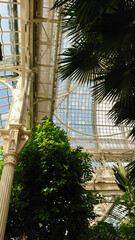Victorian greenhouse with ornate details and lush greenery