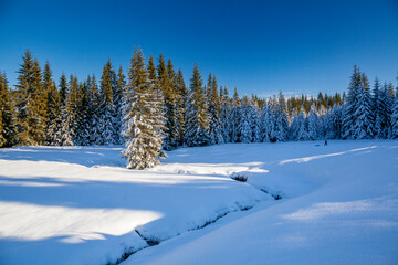 Landscape Jakuszyce, Lower Silesian Voivodeship