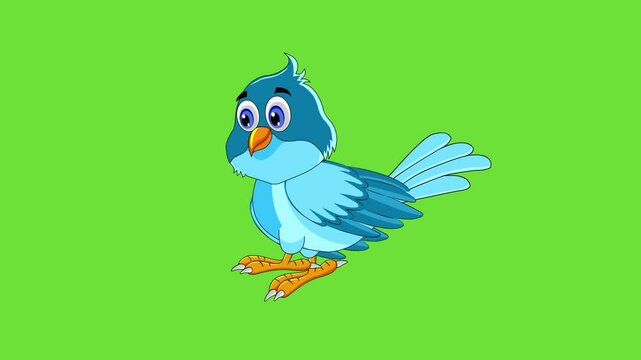 Tuntuni bird 2d cartoon animation walking and rigging
